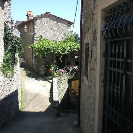 Ristorante Ceru Camaiore