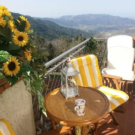 Ristorante Ceru Camaiore